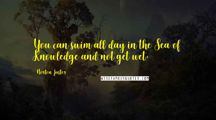 Norton Juster quotes: You can swim all day in the Sea of Knowledge and not get wet.