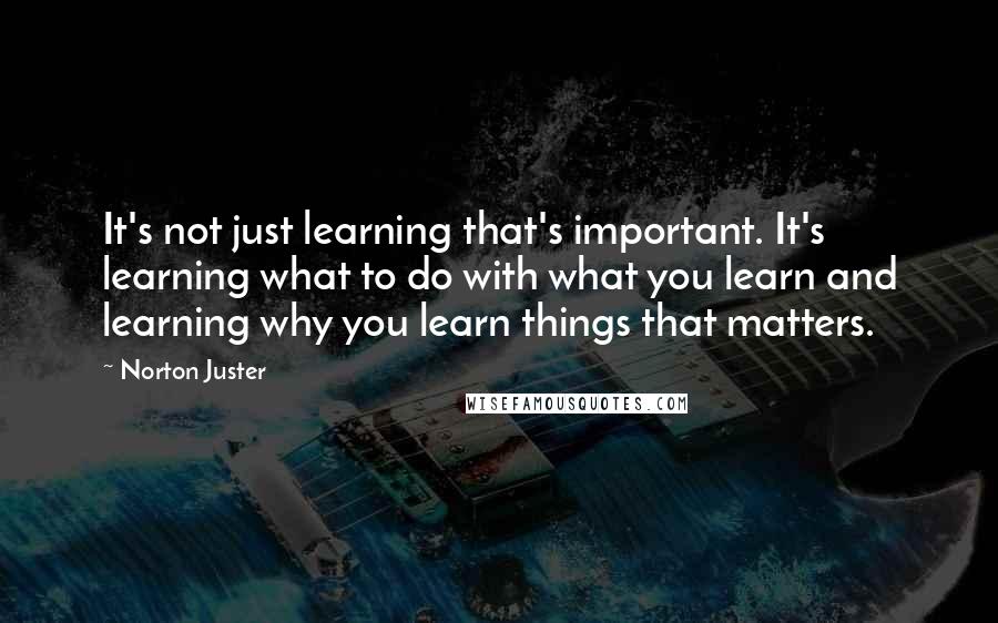 Norton Juster quotes: It's not just learning that's important. It's learning what to do with what you learn and learning why you learn things that matters.