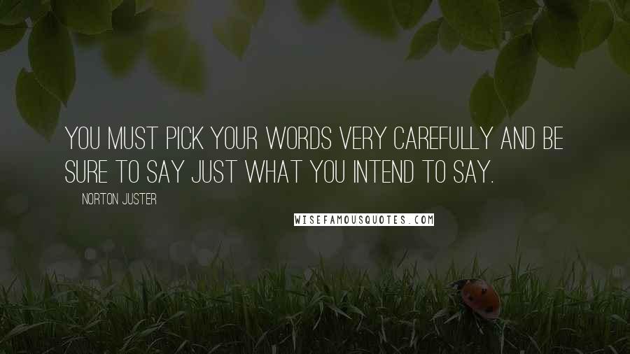 Norton Juster quotes: you must pick your words very carefully and be sure to say just what you intend to say.