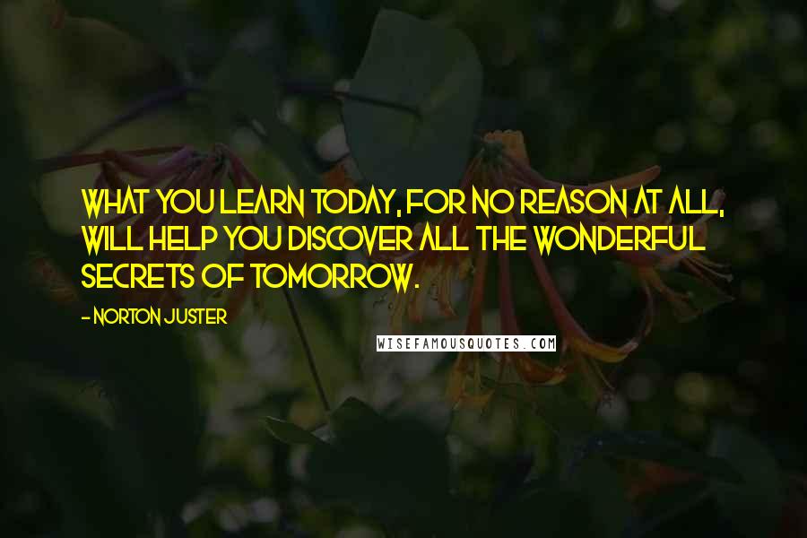 Norton Juster quotes: What you learn today, for no reason at all, will help you discover all the wonderful secrets of tomorrow.