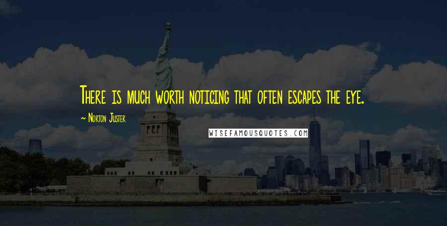 Norton Juster quotes: There is much worth noticing that often escapes the eye.