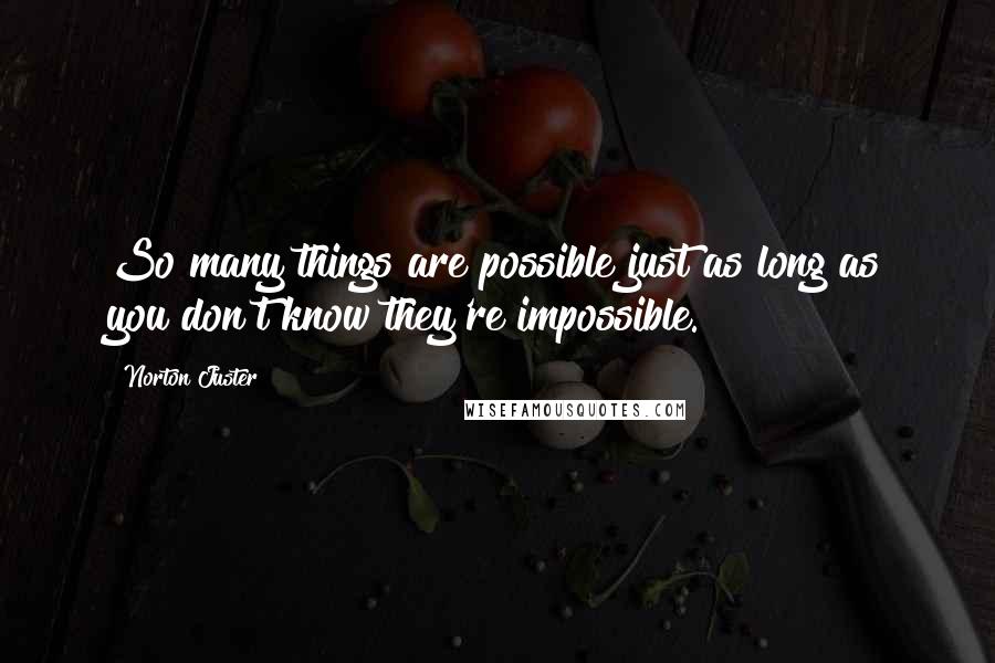 Norton Juster quotes: So many things are possible just as long as you don't know they're impossible.