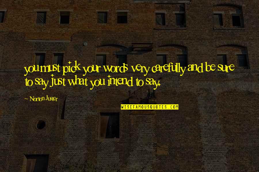 Norton Juster Quotes By Norton Juster: you must pick your words very carefully and Norton Juster Quotes By Norton Juster: you must pick your words very carefully and