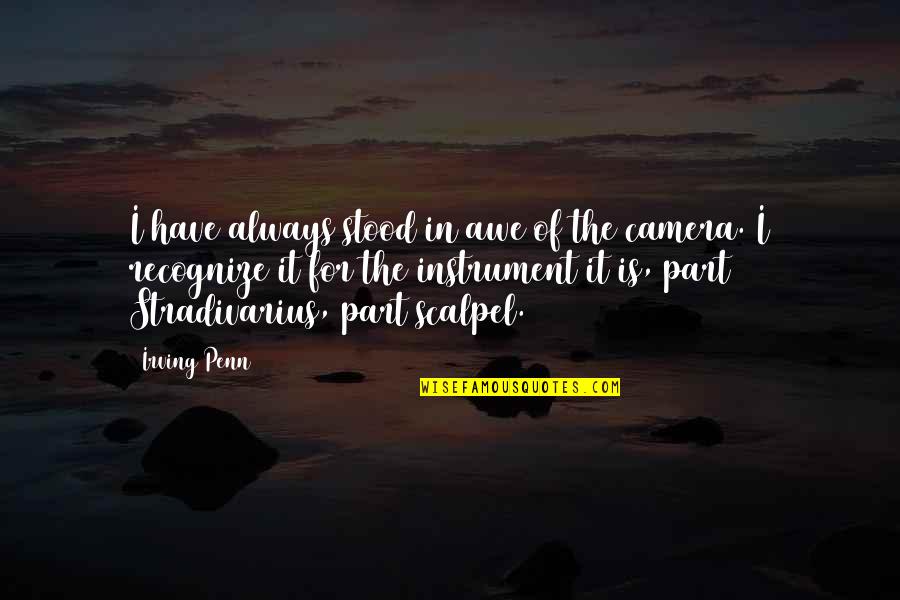 Norwegians Largest Quotes By Irving Penn: I have always stood in awe of the Norwegians Largest Quotes By Irving Penn: I have always stood in awe of the
