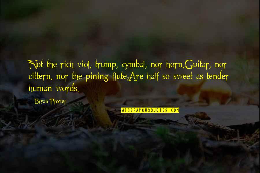 Nor'wester Quotes By Bryan Procter: Not the rich viol, trump, cymbal, nor horn,Guitar,