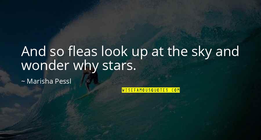Norwine Coffee Quotes By Marisha Pessl: And so fleas look up at the sky