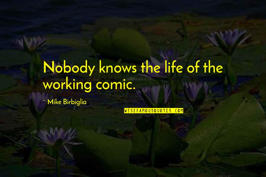 Nos Jours Heureux Quotes By Mike Birbiglia: Nobody knows the life of the working comic.