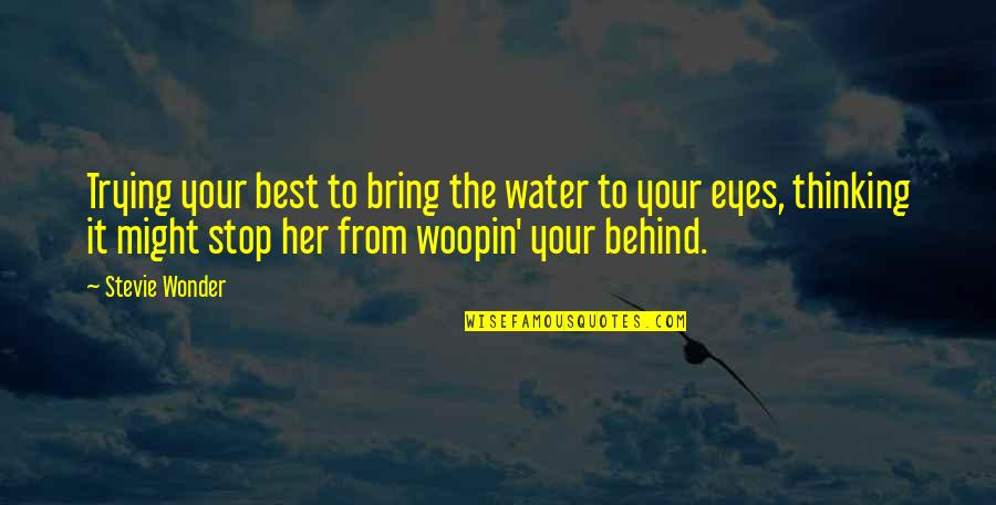 Nosebleed Quotes Quotes By Stevie Wonder: Trying your best to bring the water to