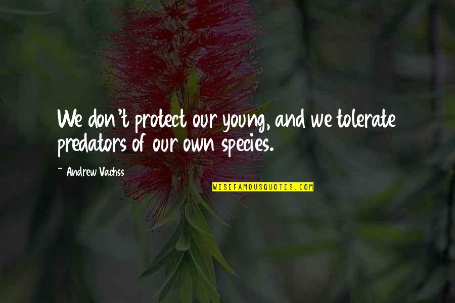 Nosey Mother In Laws Quotes By Andrew Vachss: We don't protect our young, and we tolerate