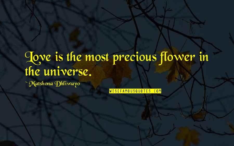 Nosheen Ahmed Quotes By Matshona Dhliwayo: Love is the most precious flower in the