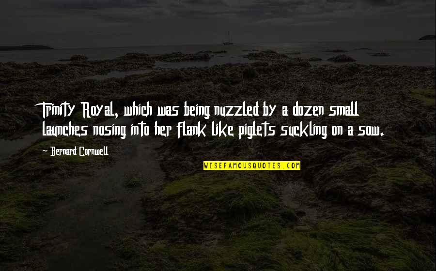 Nosing Quotes By Bernard Cornwell: Trinity Royal, which was being nuzzled by a