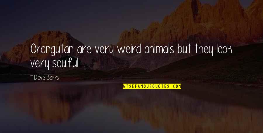 Nositi Crninu Quotes By Dave Barry: Orangutan are very weird animals but they look
