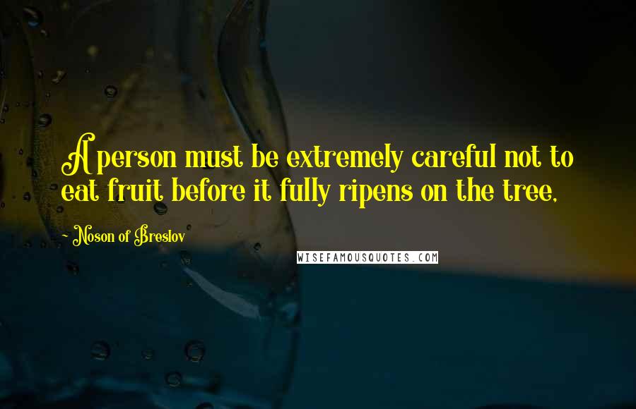 Noson Of Breslov quotes: A person must be extremely careful not to eat fruit before it fully ripens on the tree,