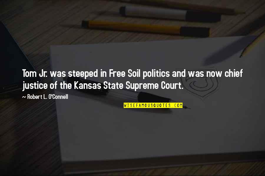 Nostalgia Movie Quotes By Robert L. O'Connell: Tom Jr. was steeped in Free Soil politics