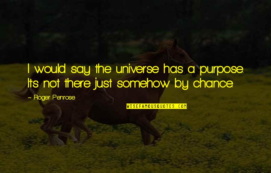 Not A Chance Quotes By Roger Penrose: I would say the universe has a purpose.