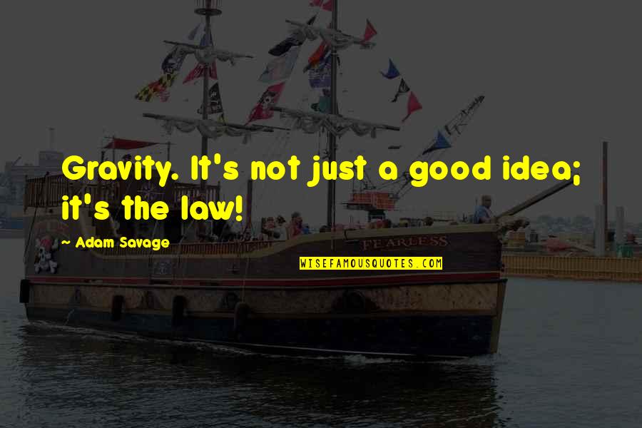 Not A Good Idea Quotes By Adam Savage: Gravity. It's not just a good idea; it's