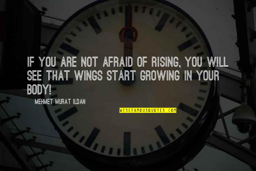 Not Afraid Quotes By Mehmet Murat Ildan: If you are not afraid of rising, you