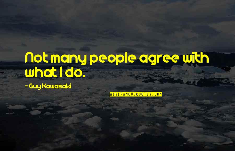 Not Agree Quotes By Guy Kawasaki: Not many people agree with what I do.