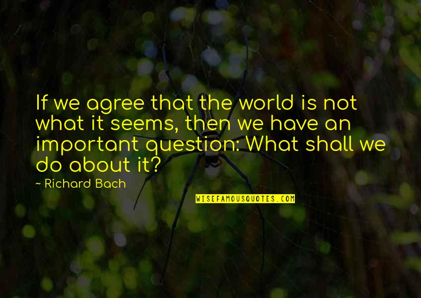 Not Agree Quotes By Richard Bach: If we agree that the world is not