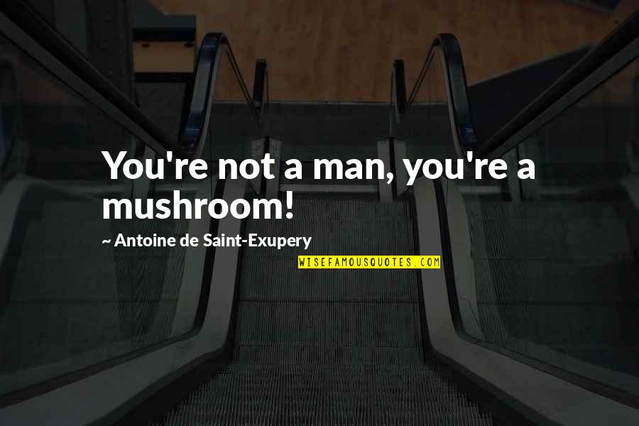 Not All Those Who Wander Are Lost Quotes By Antoine De Saint-Exupery: You're not a man, you're a mushroom!
