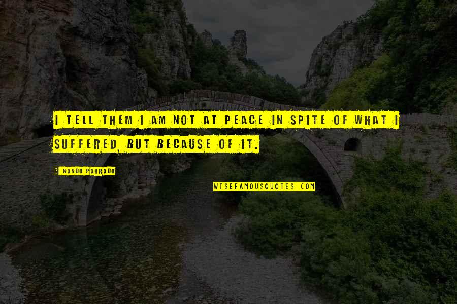 Not At Peace Quotes By Nando Parrado: I tell them I am not at peace