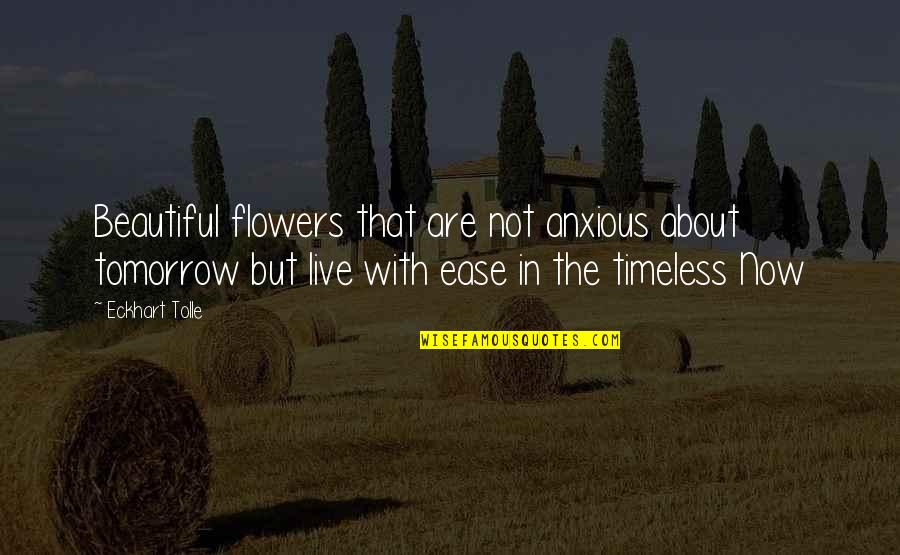Not Beautiful Quotes By Eckhart Tolle: Beautiful flowers that are not anxious about tomorrow