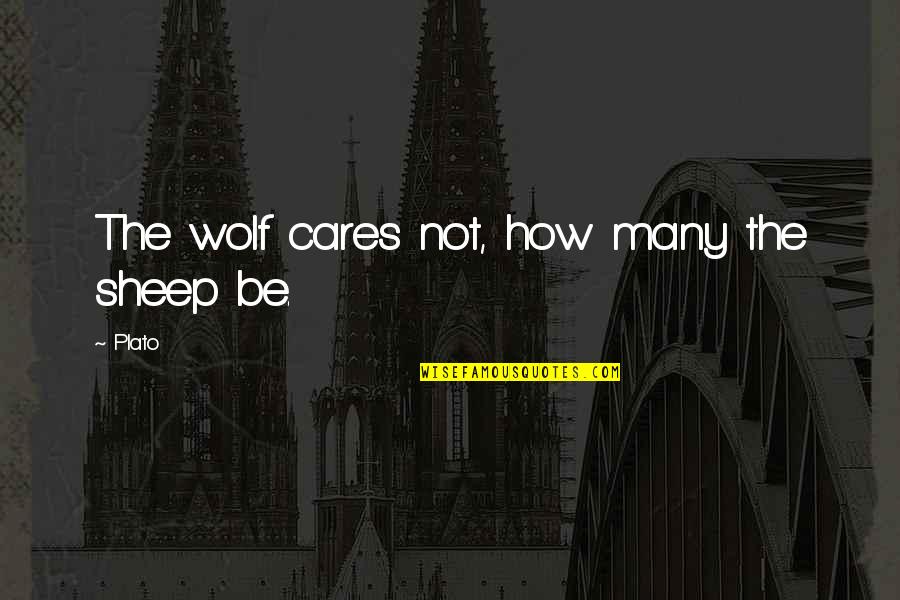 Not Being A Product Of Your Environment Quotes By Plato: The wolf cares not, how many the sheep