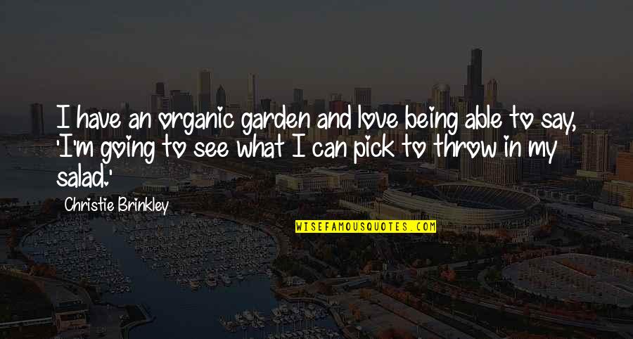 Not Being Able To See Your Love Quotes By Christie Brinkley: I have an organic garden and love being