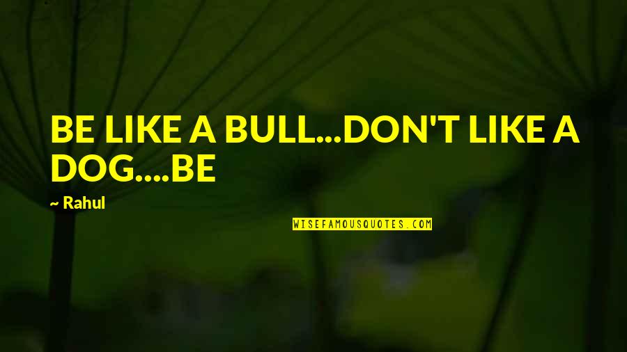 Not Being Able To Understand Someone Quotes By Rahul: BE LIKE A BULL...DON'T LIKE A DOG....BE