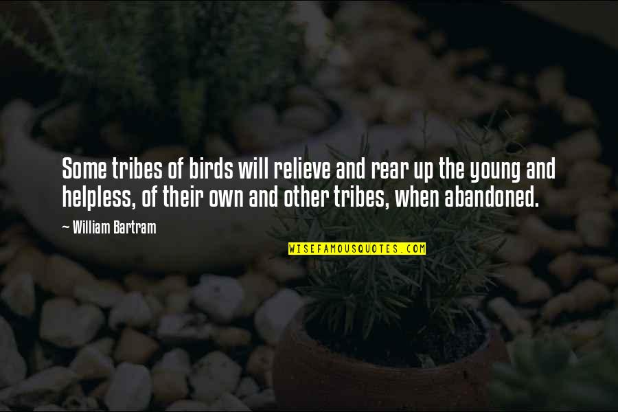 Not Being Accepted In Society Quotes By William Bartram: Some tribes of birds will relieve and rear