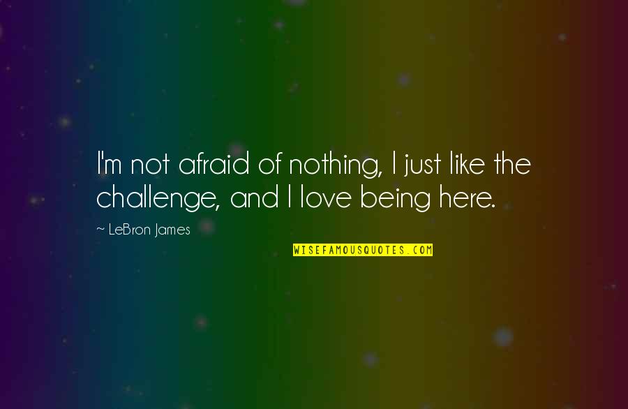 Not Being Afraid To Love Quotes By LeBron James: I'm not afraid of nothing, I just like