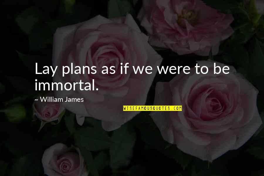 Not Being Appreciated Quotes By William James: Lay plans as if we were to be Not Being Appreciated Quotes By William James: Lay plans as if we were to be