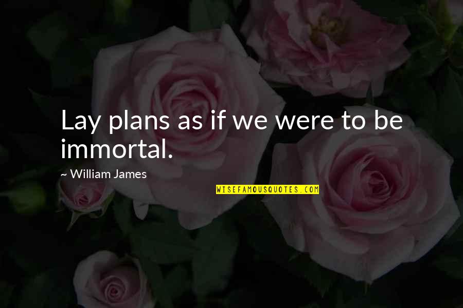 Not Being Appreciated Quotes By William James: Lay plans as if we were to be