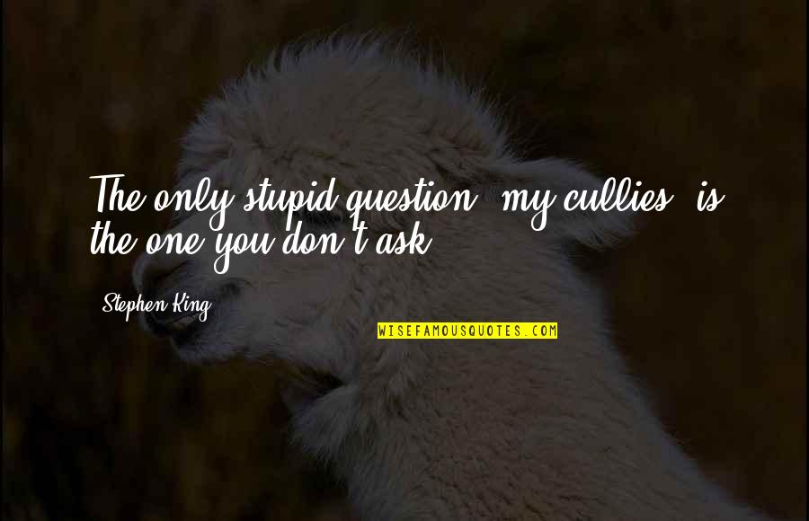 Not Being Controlled By Others Quotes By Stephen King: The only stupid question, my cullies, is the