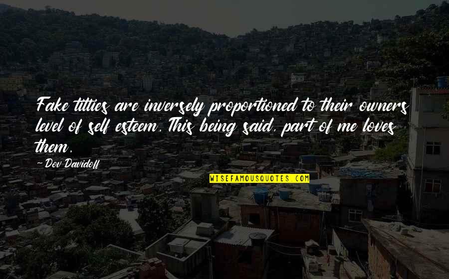 Not Being Fake Quotes By Dov Davidoff: Fake titties are inversely proportioned to their owners
