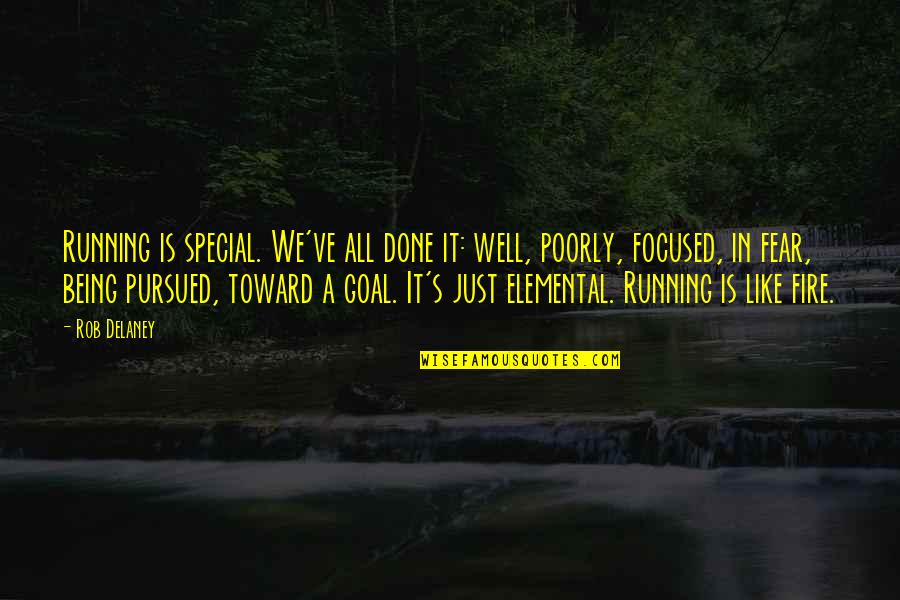 Not Being Focused Quotes By Rob Delaney: Running is special. We've all done it: well,