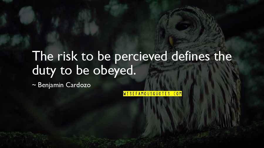 Not Being His Priority Quotes By Benjamin Cardozo: The risk to be percieved defines the duty