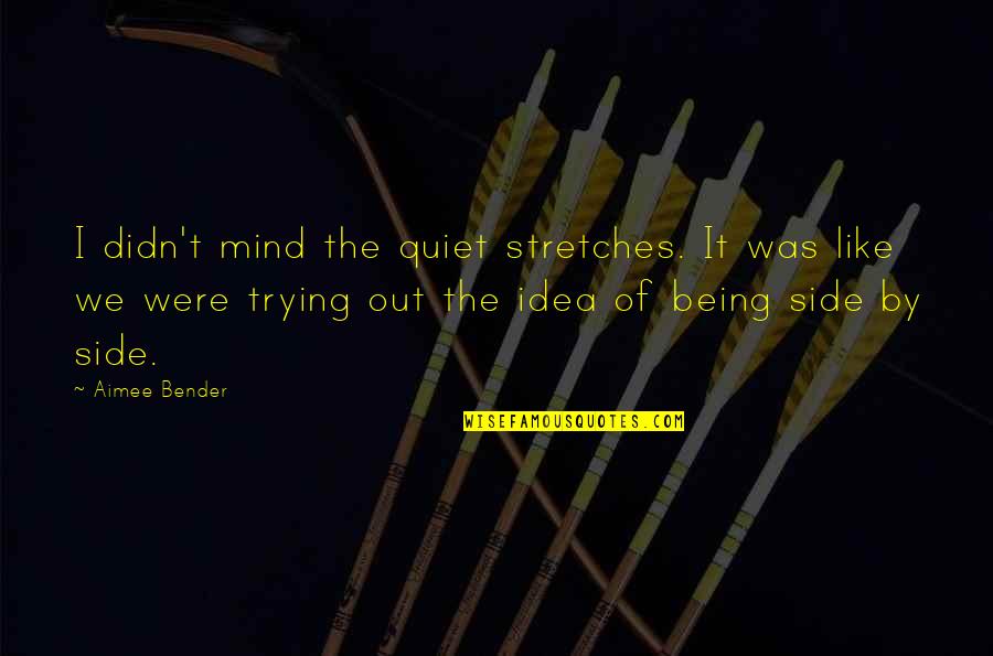 Not Being Quiet Quotes By Aimee Bender: I didn't mind the quiet stretches. It was