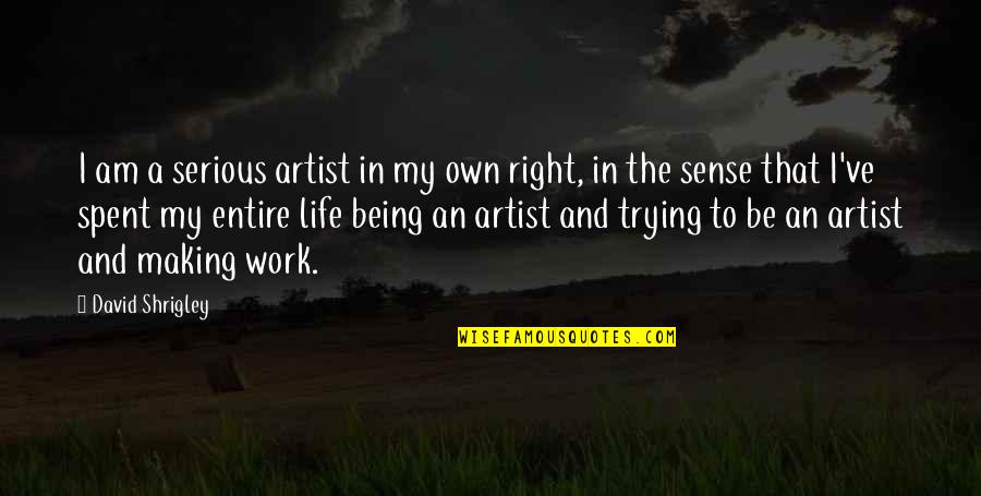 Not Being Serious In Life Quotes By David Shrigley: I am a serious artist in my own