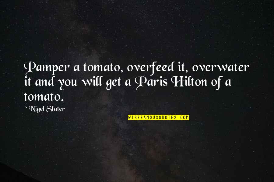 Not Being Treated Right Quotes By Nigel Slater: Pamper a tomato, overfeed it, overwater it and
