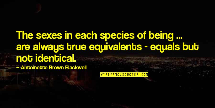 Not Being True Quotes By Antoinette Brown Blackwell: The sexes in each species of being ...