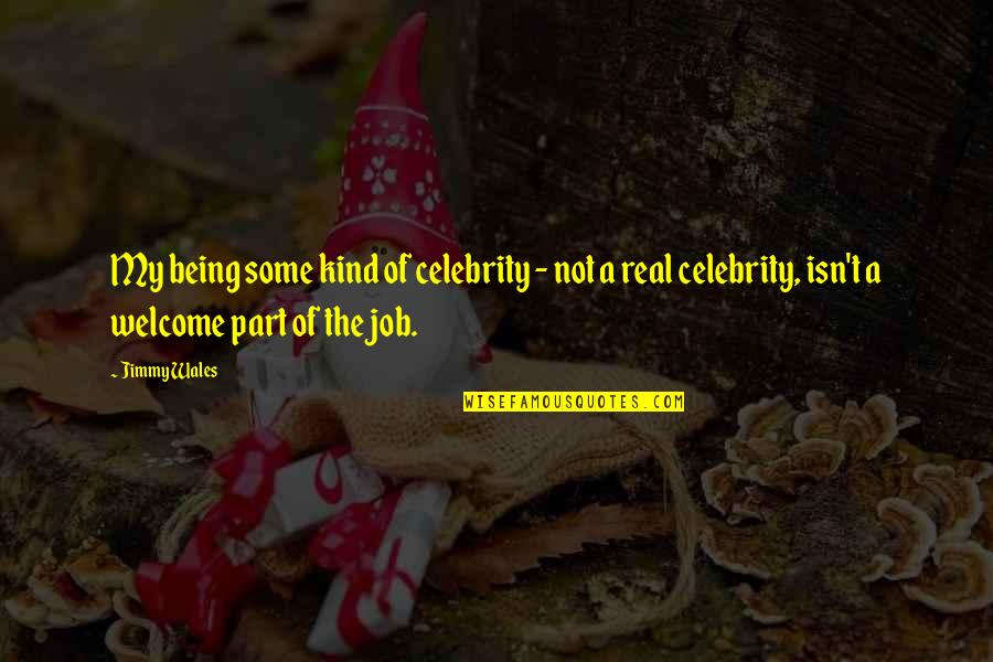 Not Being Welcome Quotes By Jimmy Wales: My being some kind of celebrity - not