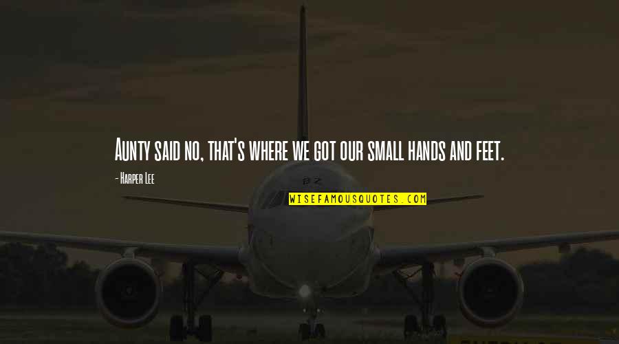 Not Biological Father Quotes By Harper Lee: Aunty said no, that's where we got our