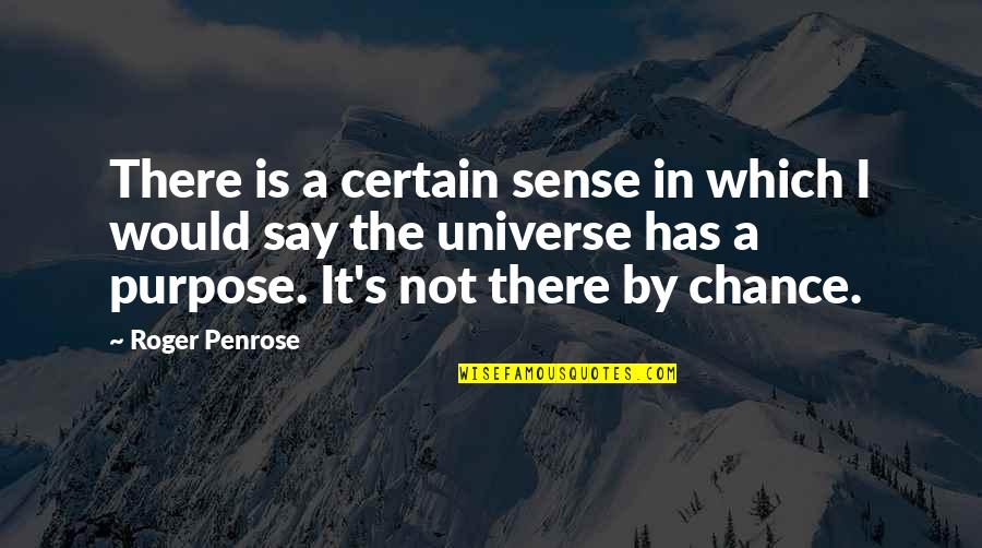 Not By Chance Quotes By Roger Penrose: There is a certain sense in which I