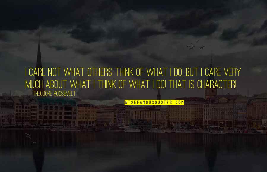 Not Care About Others Quotes By Theodore Roosevelt: I care not what others think of what