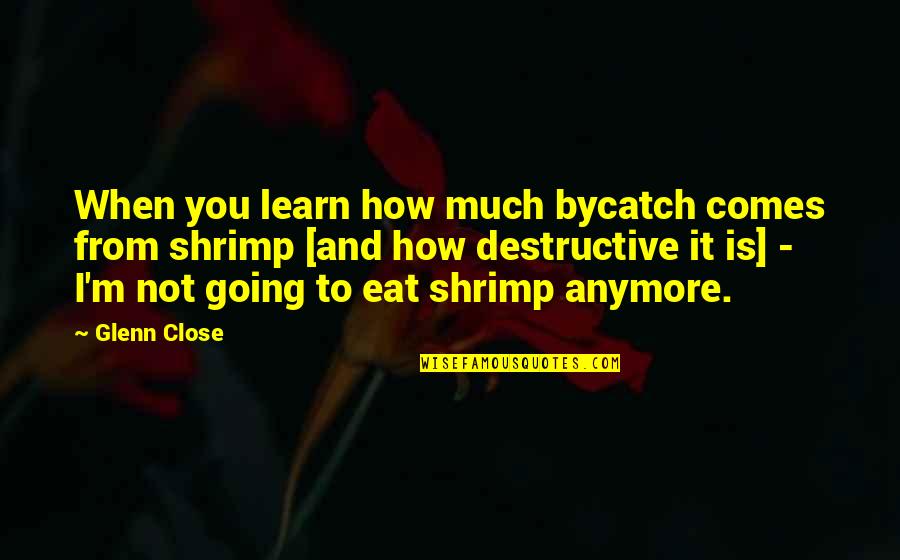 Not Close Anymore Quotes By Glenn Close: When you learn how much bycatch comes from