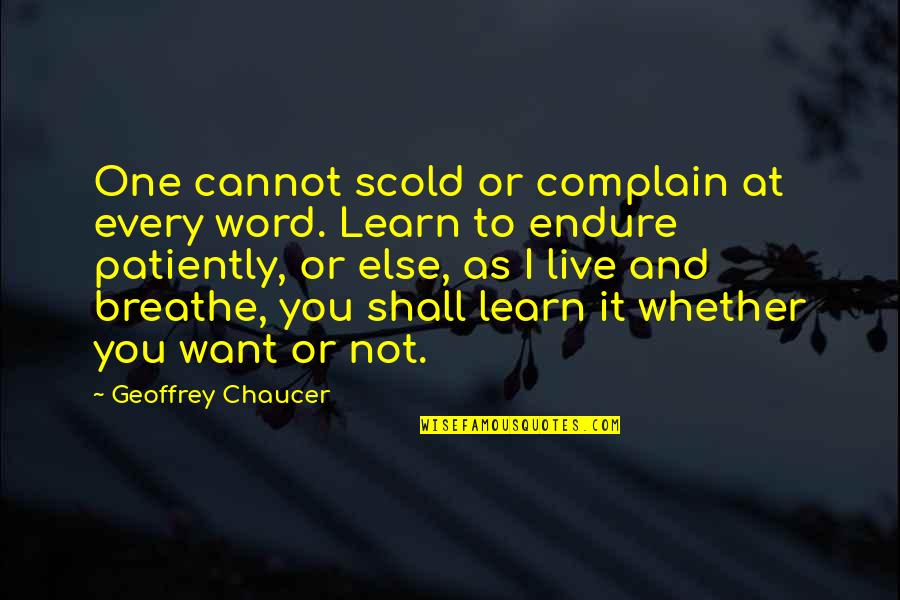 Not Complaining Quotes By Geoffrey Chaucer: One cannot scold or complain at every word.