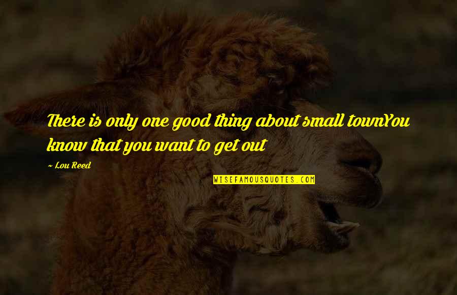 Not Conforming To Society Quotes By Lou Reed: There is only one good thing about small
