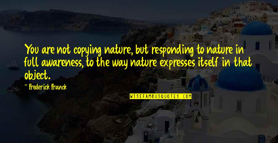 Not Copying Quotes By Frederick Franck: You are not copying nature, but responding to