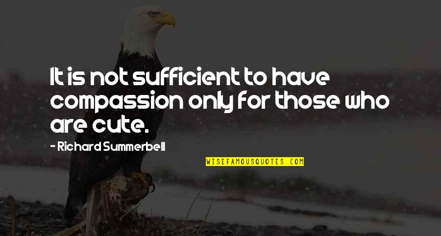 Not Cute Quotes By Richard Summerbell: It is not sufficient to have compassion only